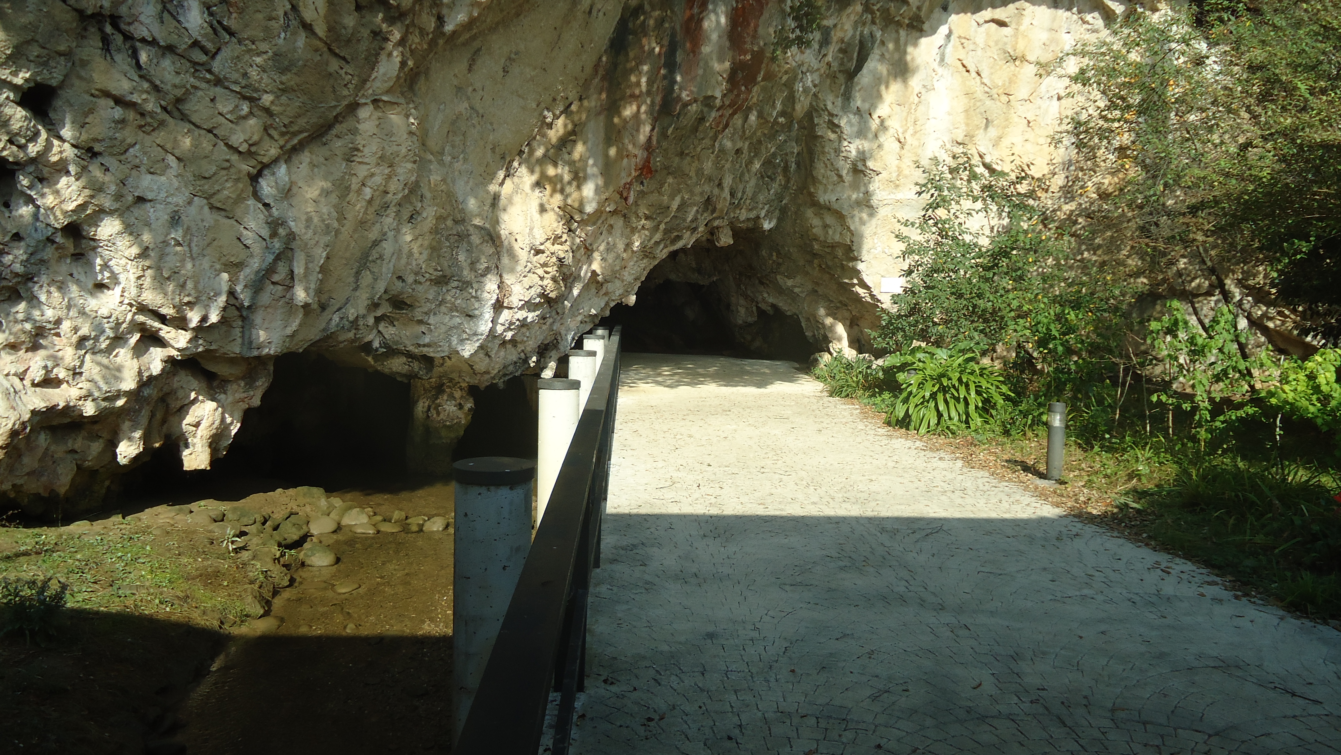 cueva de Tito Bustillo