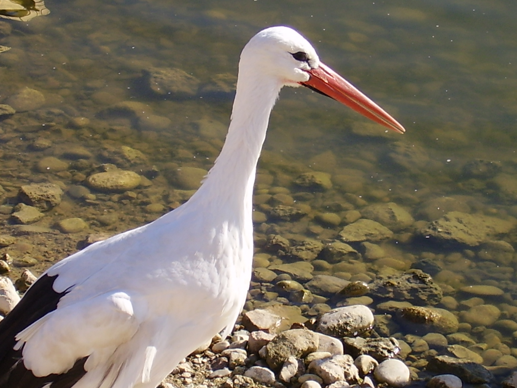 Terra Natura Murcia